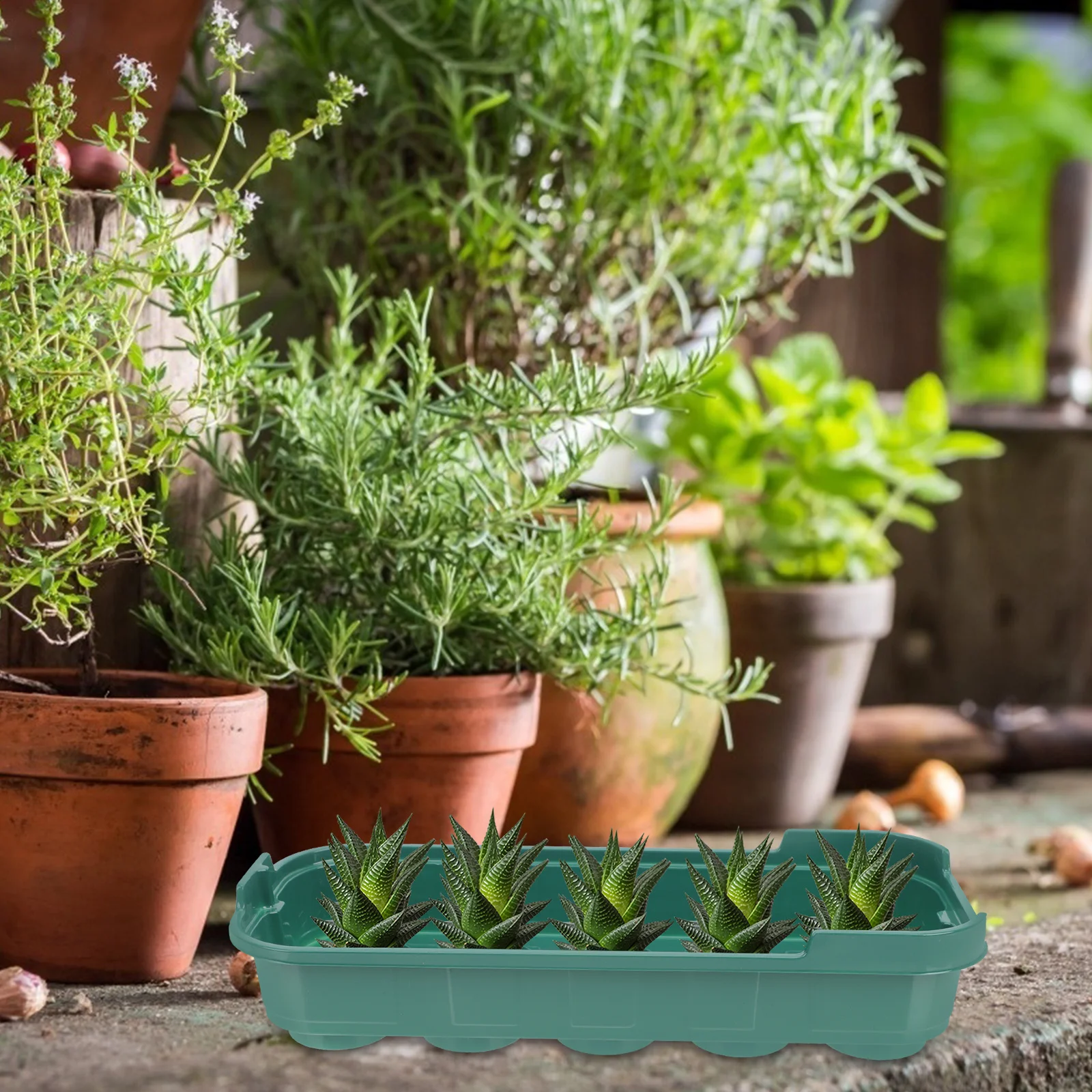 

Nursery Trays for Gardening Greenhouse Growing Tray Lightweight Durable Small Starter Planting Containers Flowers Vegetables