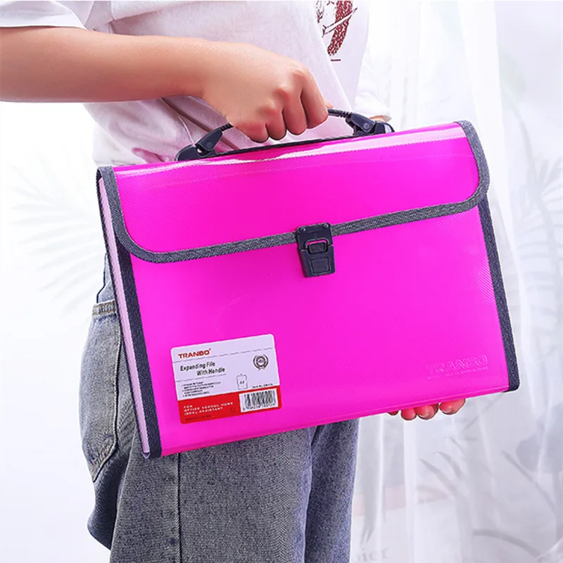 Plastic File Wallet Accordion Folder 13 Pockets Expanding File Folder with Handle Expandable Document Organizer with Flap&Buckle