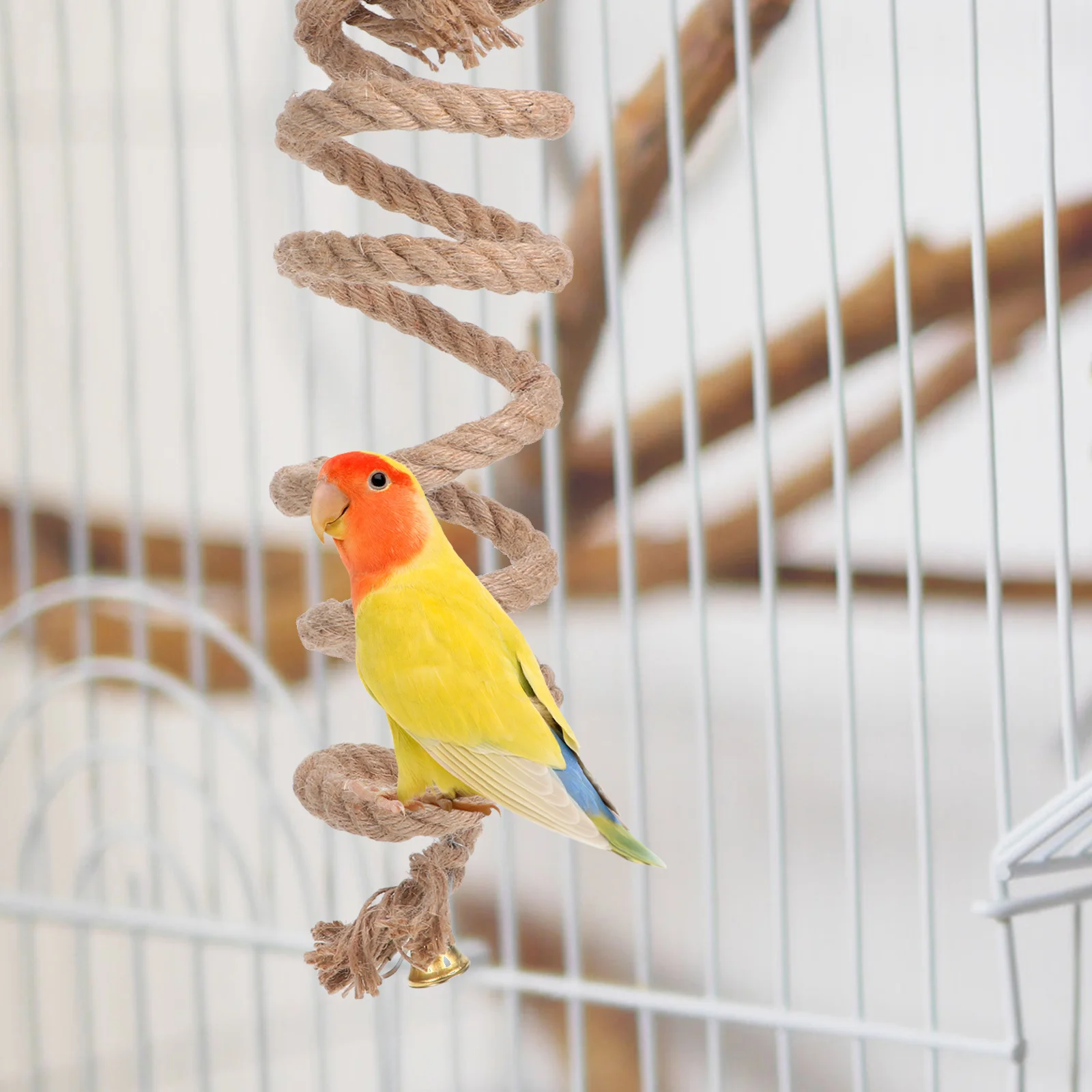 

Parrot Climbing Durable Fiber Flexible Spiral For Birds Pet Bird Exercise Supplies Parrot Rope Birds Climbing Rope