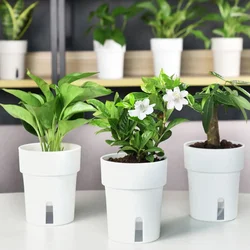 多肉植物用の丸いプラスチック植木鉢,マルチカラーの家の植物用品,ミニオフィスプランター,ガーデニングの装飾