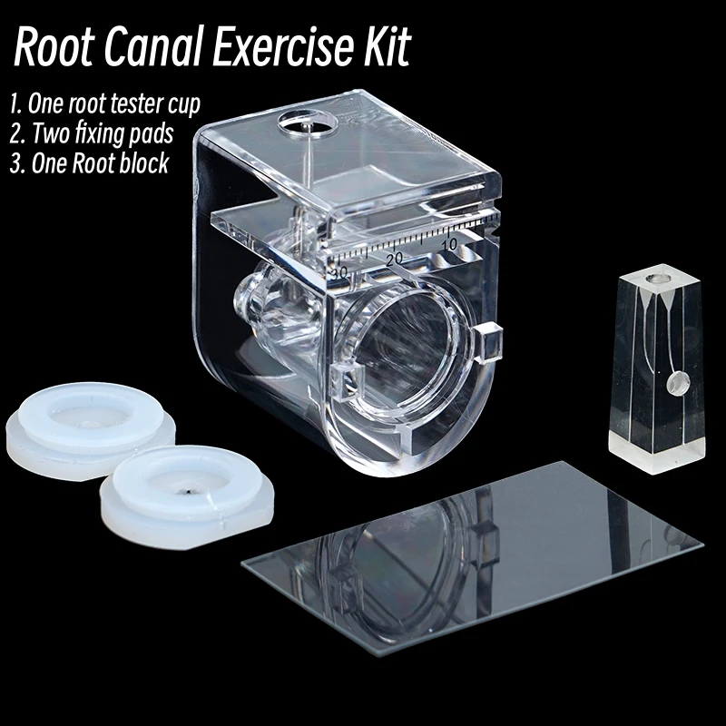 Dental Root Canal Training Model Endodontics Endo Blocks Teeth Pulp Cavity for Rotary Files Practice Study Treatment