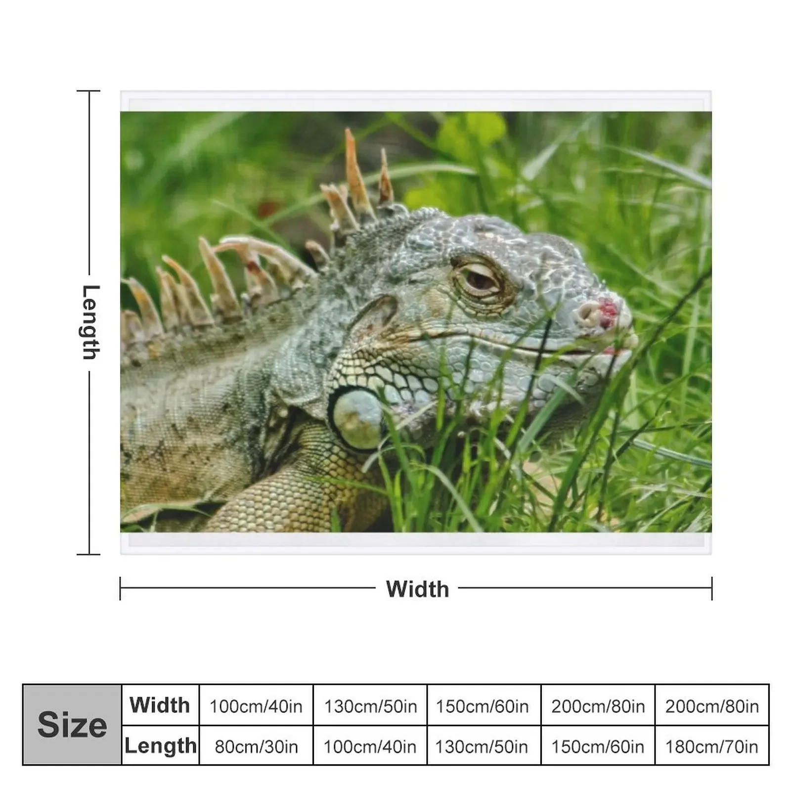 Iggy the Iguana Throw Blanket Stuffeds Luxury Brand warm winter Soft Beds Blankets