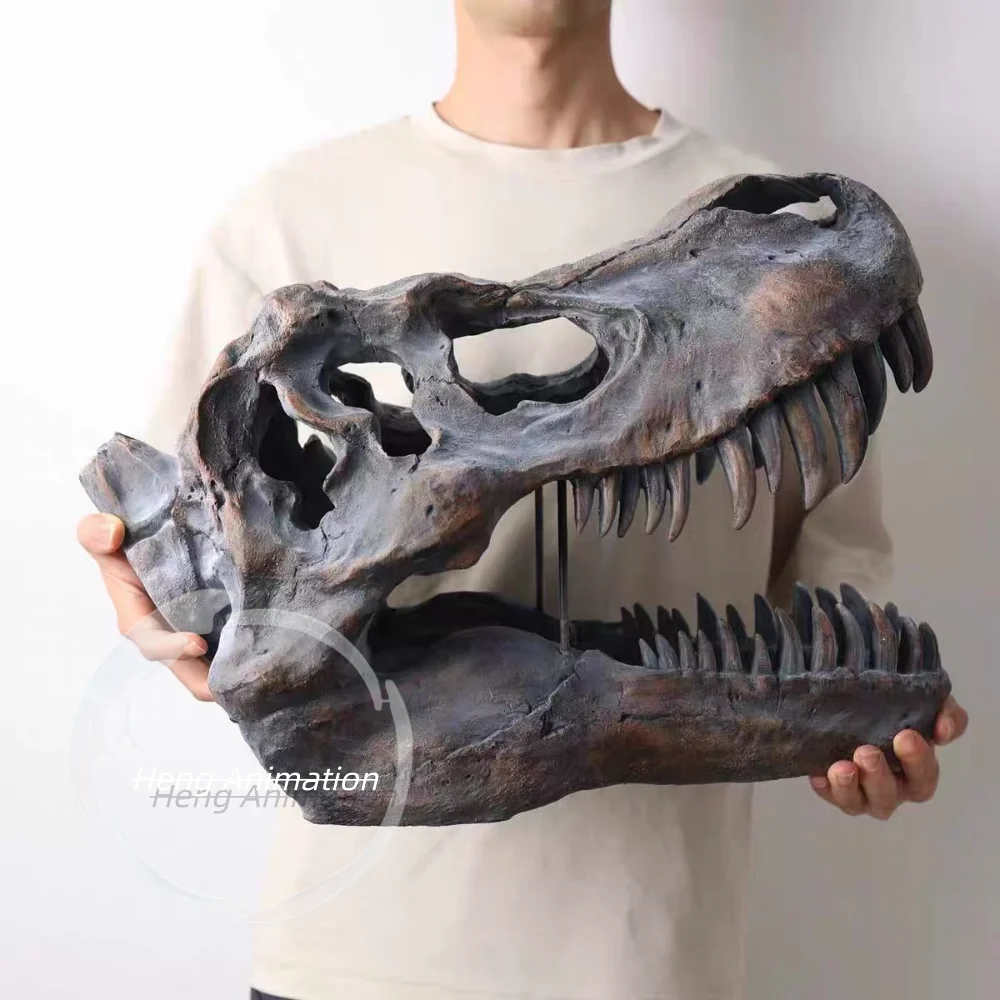 In Stock, Tyrannosaurus Rex Skull Tide Play Ornament Figure, Simulated Dinosaur Work, Skull Fossil Specimen Art Gift