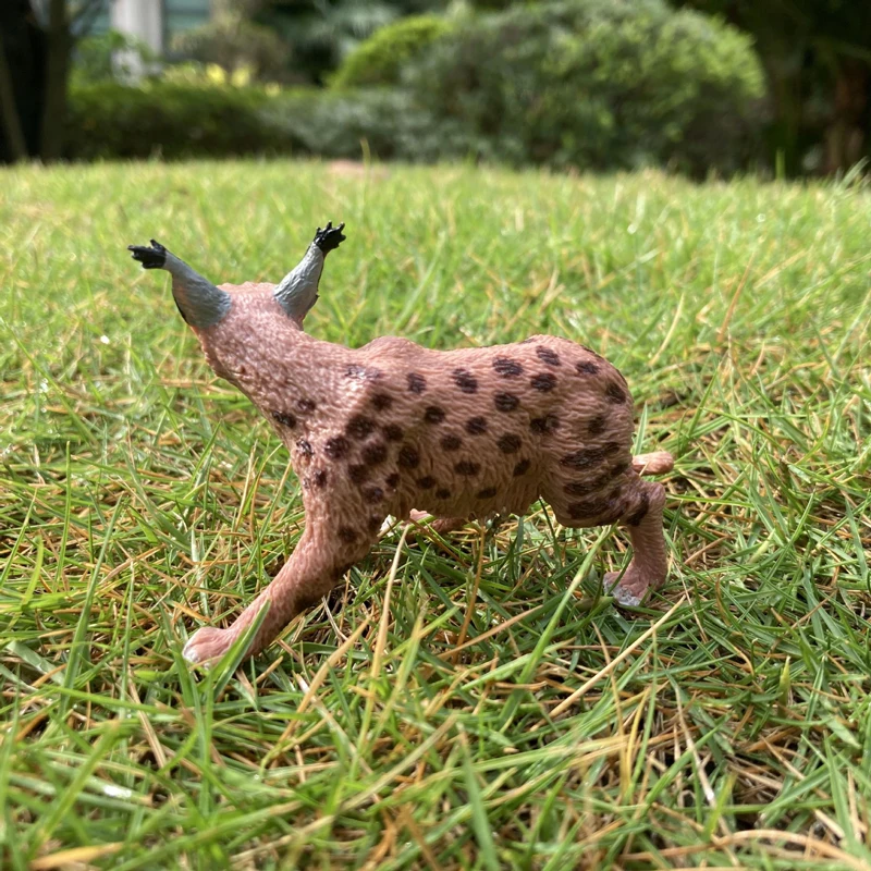 현실적인 동물 장난감 모델 긴 꼬리 산 표범 고양이 수지 피규어 홈/오피스 장식 수집 장난감 어린이 조기 교육