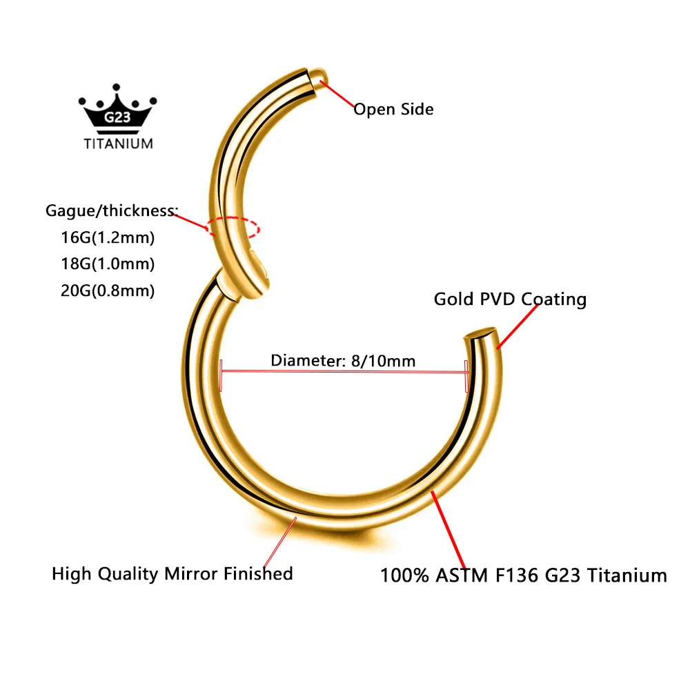 G23 Titanium Hinged Segment Rings for Piercing