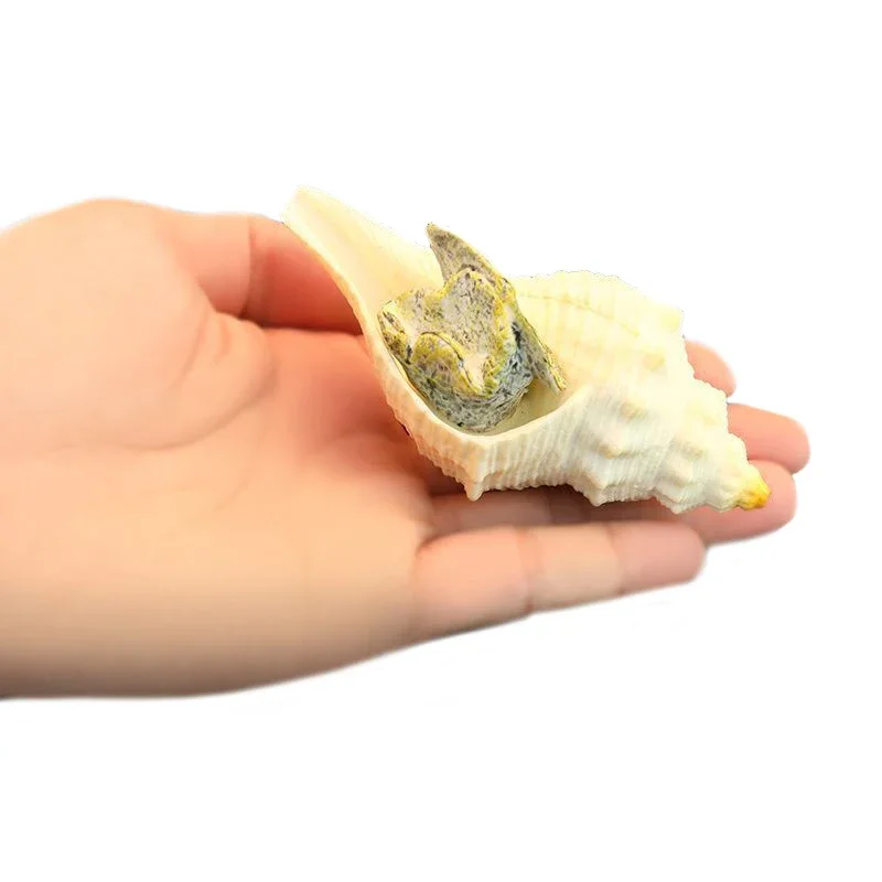 Large Conch Shell Ocean Decor Fish Tank Seashell Decoration Ornaments Simulated PVC Shells Cognition Beach Decorations for Home