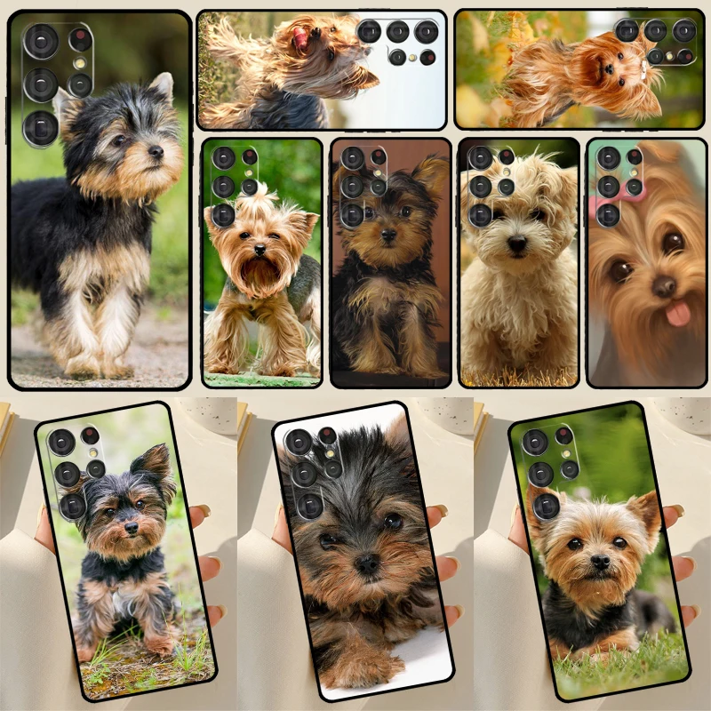 Yorkshire Terrier Dog Puppy Case For Samsung Galaxy S23 S22 Ultra S21 FE S9 S10 Note 10 Plus S20 FE S21 Ultra Back Cover