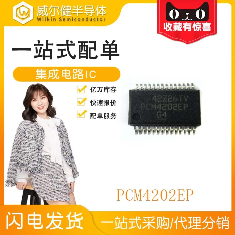 PCM4202EP SSOP28   IC PCM4202IBDREP    10PCS