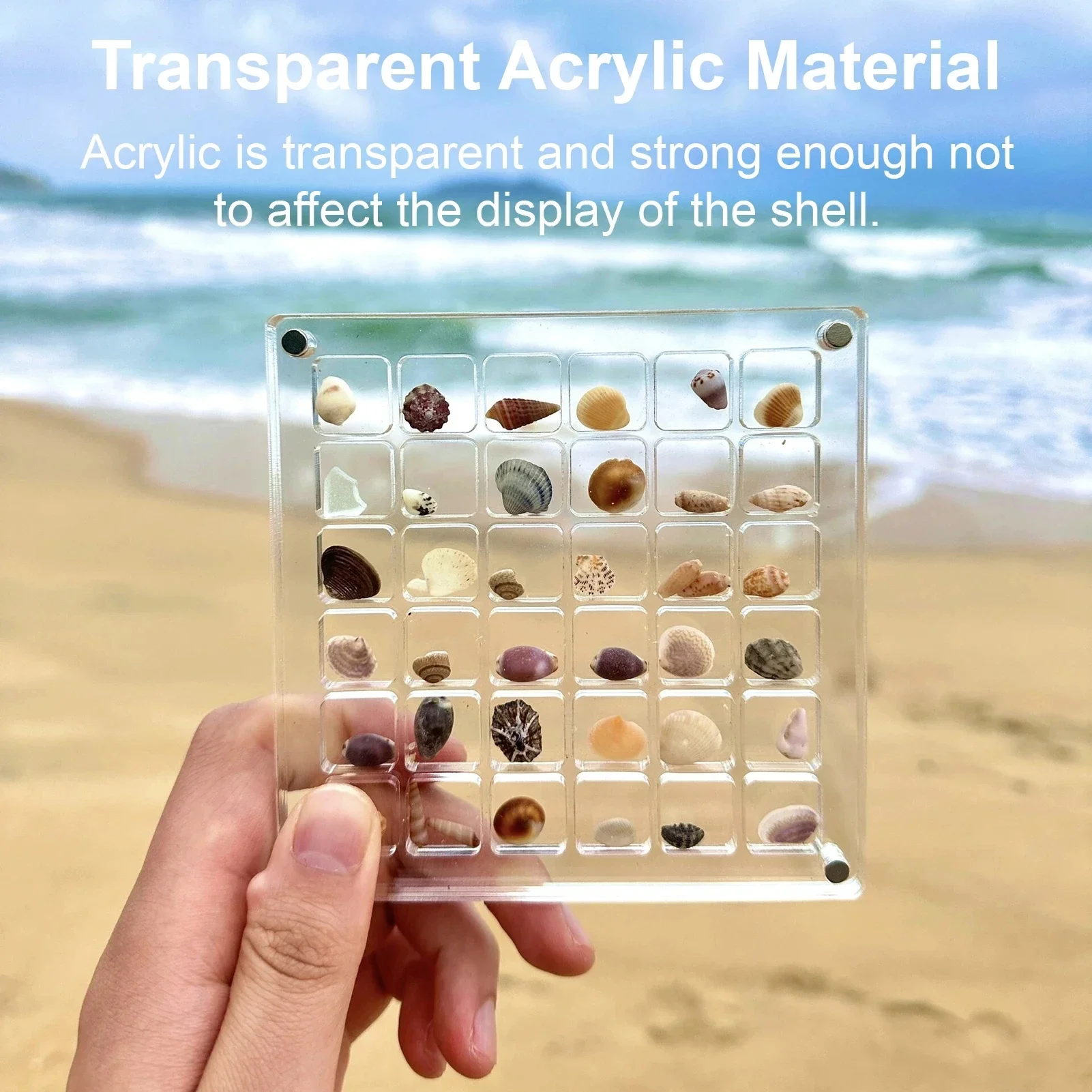 

Acrylic Magnetic Jewelry Seashell Display Box Small Crafts Stone Nail Art Bead Charm Jewelry Show Organizer Container Case