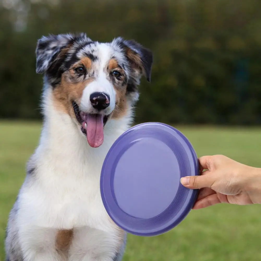 

Pet Toy Dog Flying Disc Bite Resistant Dog Interactive Toy Floating Water Plastic Pet Flying Disc Chew Toy juguetes para perro