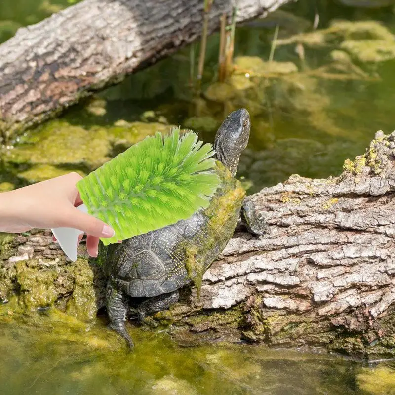 Turtle Brush With Suction Cup Turtle Shell Cleaning Brush Portable Turtle Scrub Brush Glass Bottle Bristle Brush For Glassware