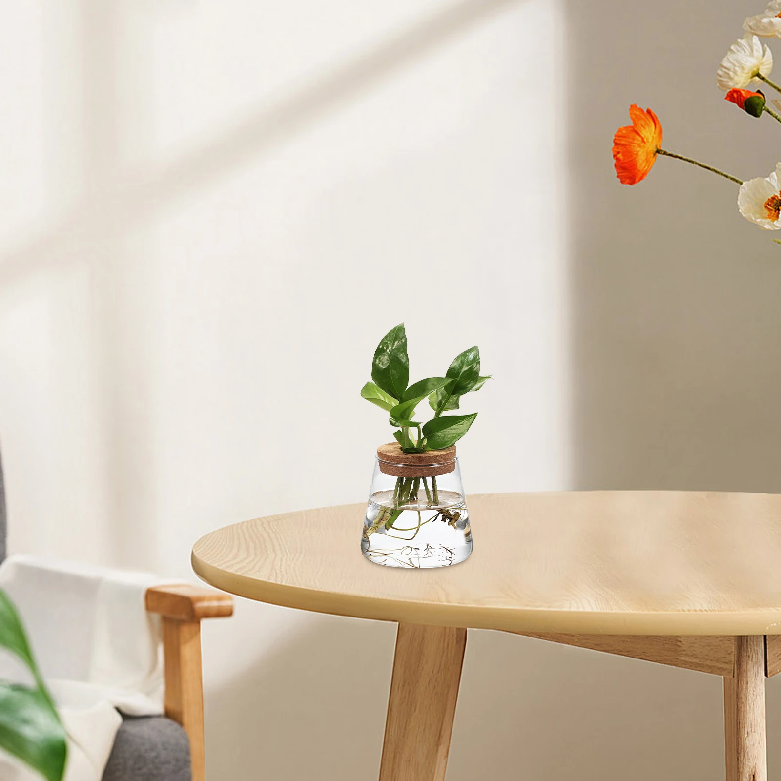 

3pcs Hydroponic Plant Bottle Vases Transparent Desk Decor Office Flower Arrangement Glass Terrarium Planter Portable Home