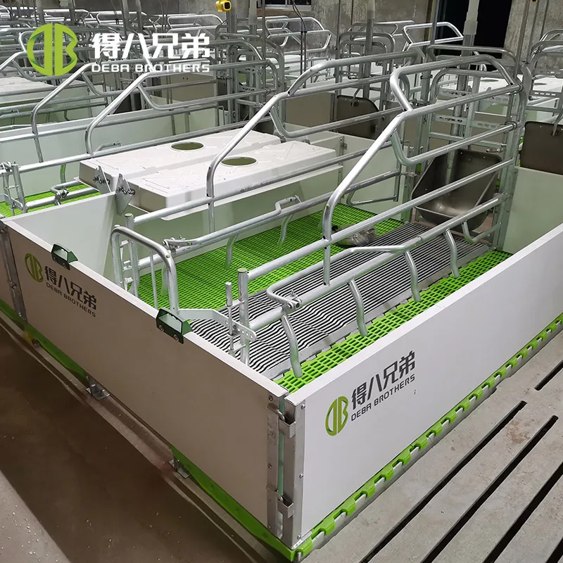 Caisse de lancer de cochon classique, offre spéciale