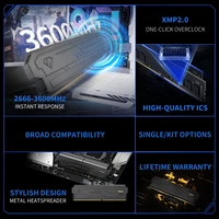 Netac DDR4 Memory Shadow Ill 3200MHz 3600MHz Ram UDIMM DDR4 8G 16G 8Gx2 16Gx2 with Aluminum Heatsink Support XMP2.0 for Desktop 3