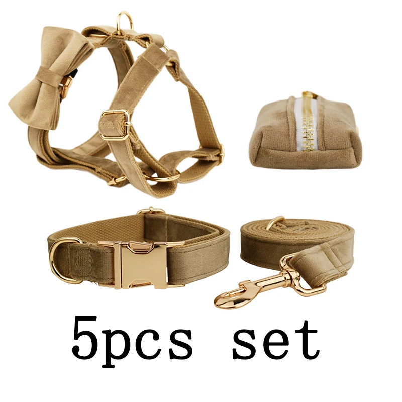 Ensemble collier et laisse en velours pour chien avec plaque_voghion.com