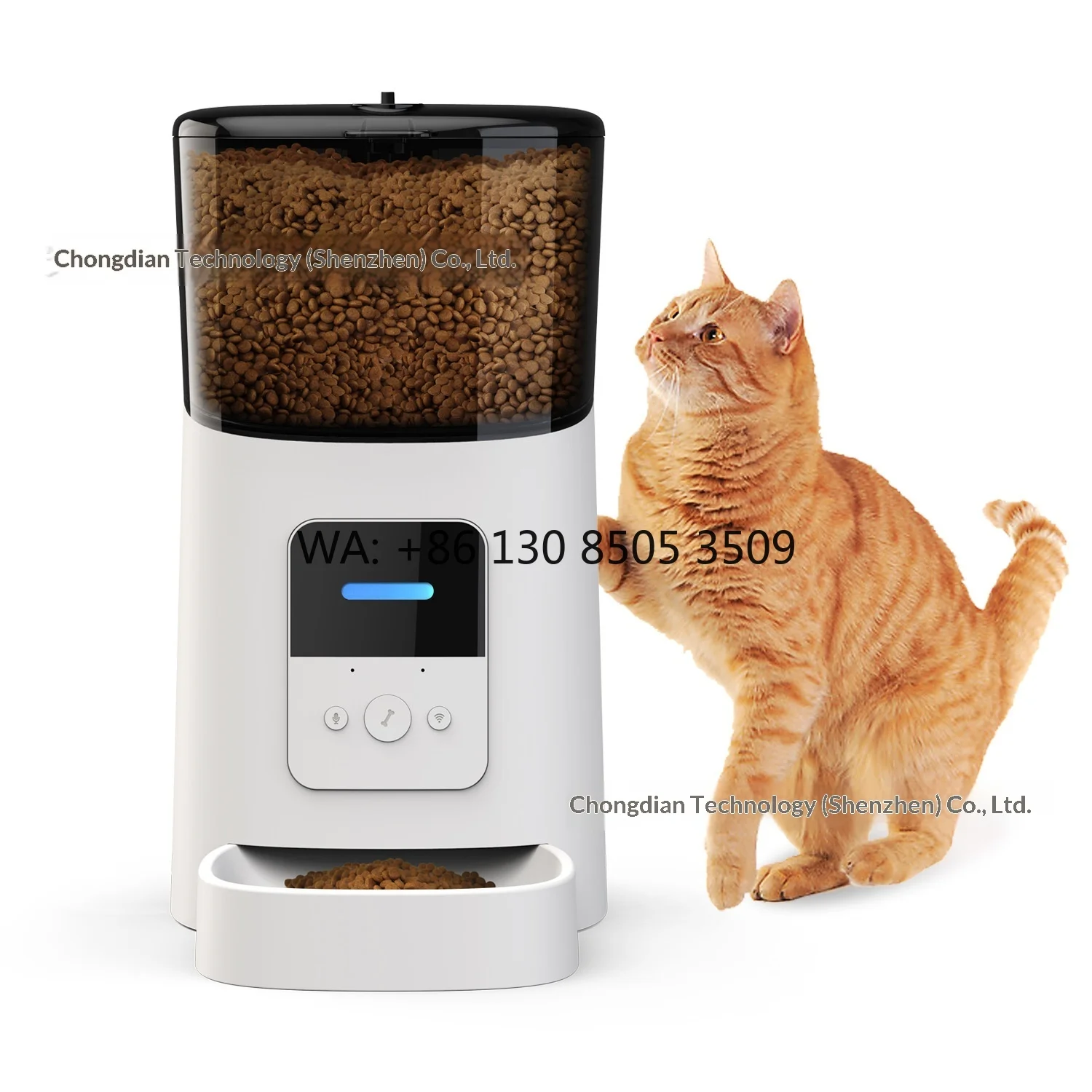 

Dog Cat Smart Pet Feeder Bottle WiFi Mobile App Remote Control LCD Display IPX7 Waterproof USB Power Automatic Removable 6L