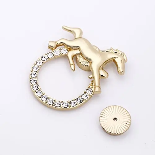 Broche magnétique fer à cheval porte-lunettes, porte-lunettes, porte-cheval porte-bonheur