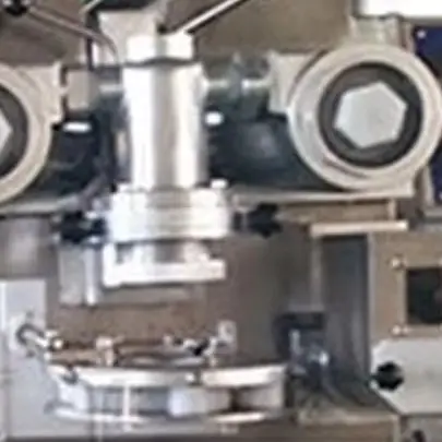 Electric Double Hoppers Fish Ball Two Color Cookies Encrusting Machine Filled Stuffing Maker High-speed Arranging Machine Bakery