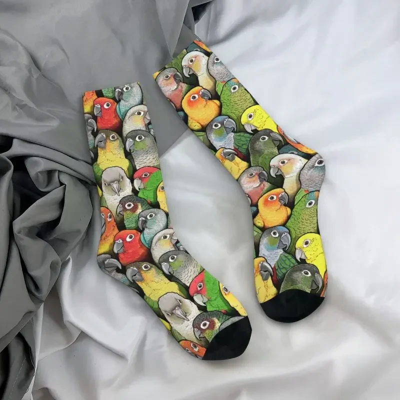 Y2K Colour Of Conure Birds Mens Crew Unisex Funny Cute Parrot Spring Summer Autumn Winter Dress Socks