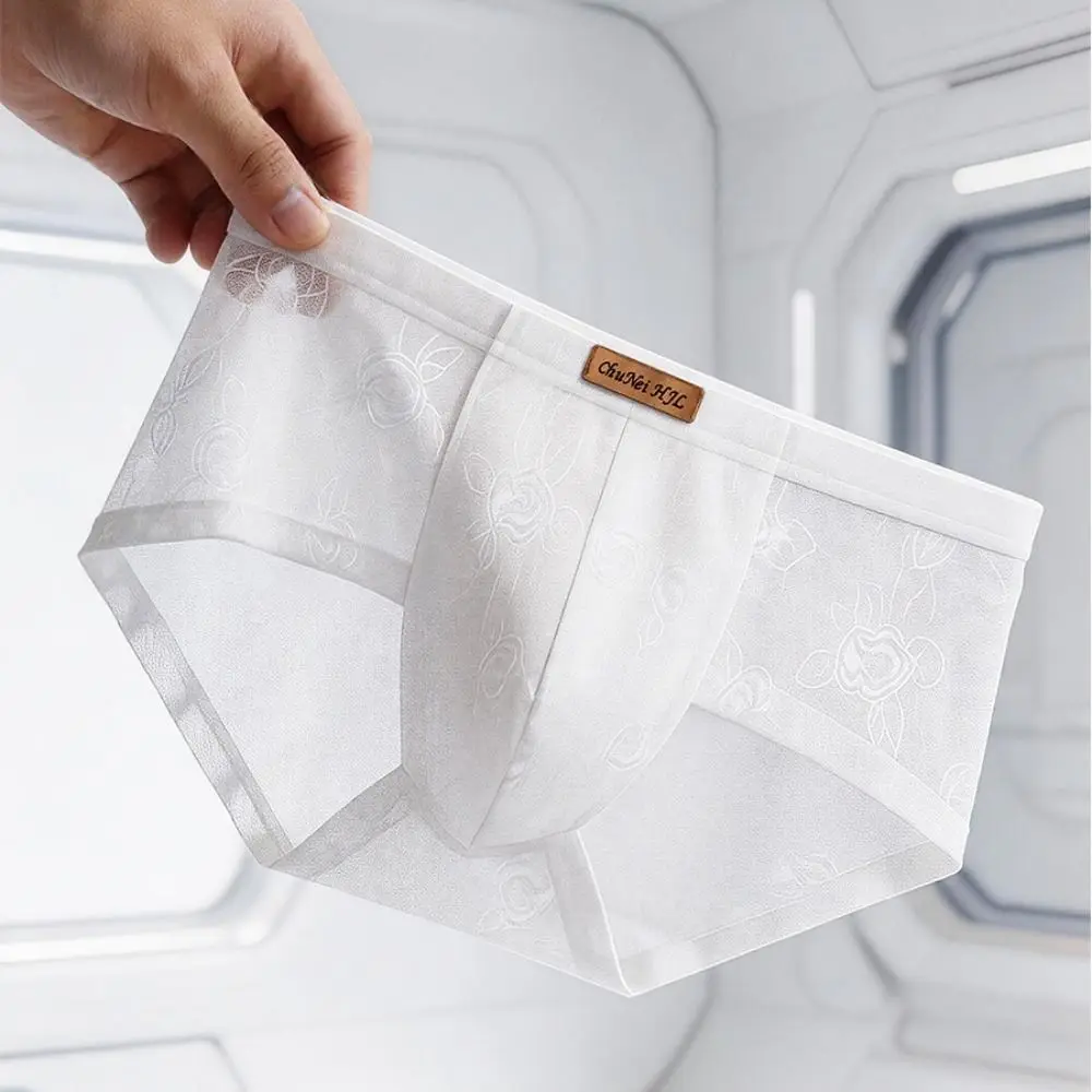 Comfortable Ice Silk Men Underwear Transparent Mid Waist Men's Lace Briefs Mesh Ultra-thin Triangle Panties Summer Wear