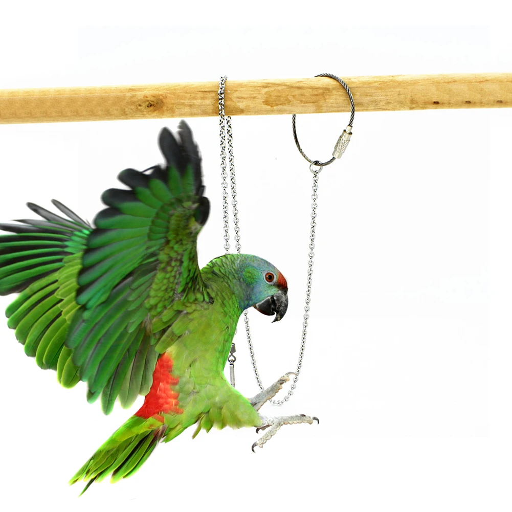 Bird Parrot Foot Chain Stainless Steel Ankle Foot Ring Stand Chain Outdoor Flying Training Starling  Pigeon  Bird Accessories