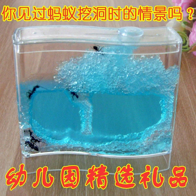 Butterfly Hin  Paradise Baby Kindergarten Gift Type Toys For Children The  Home Small Workshop Ant farm