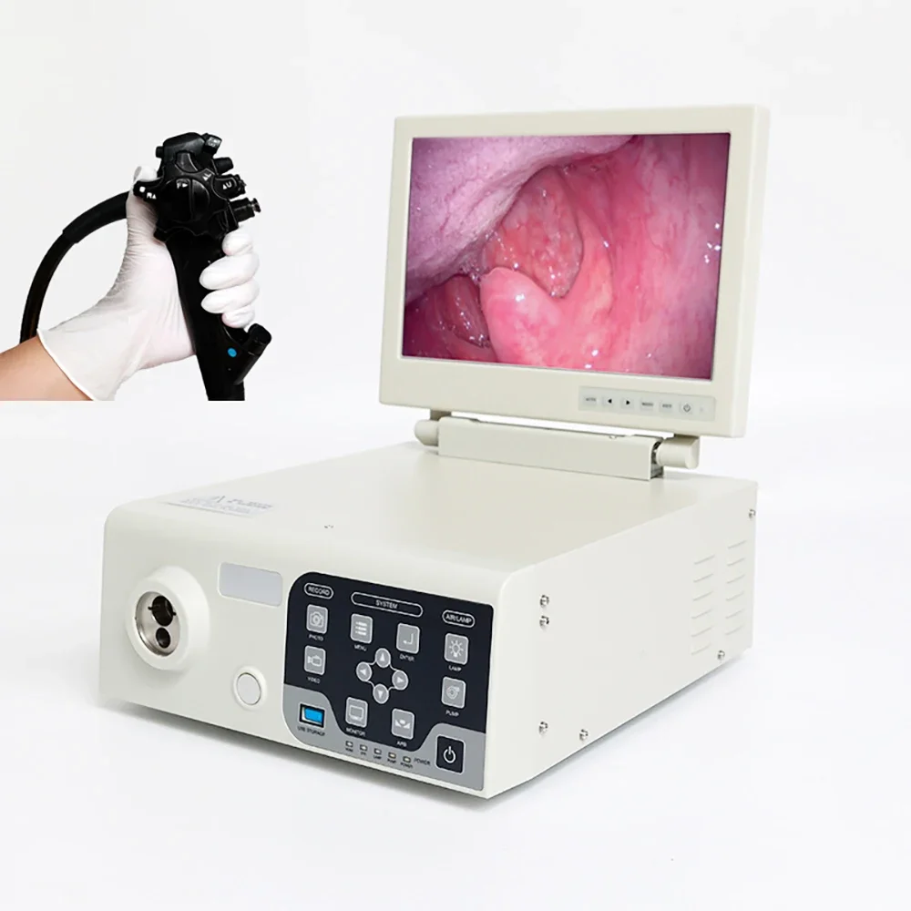 Hot-selling flexible endoscope set video gastroenteroscopy about gastroscope and colonoscope for vet MSLSY54