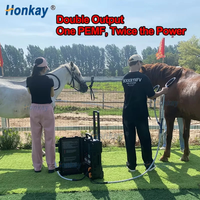 Dual-channel Dual-control Pemf equine horse Magnetic Therapy Device Pemf Loop Vet Horses Muscle Recovery Leg Joint Pain Relief