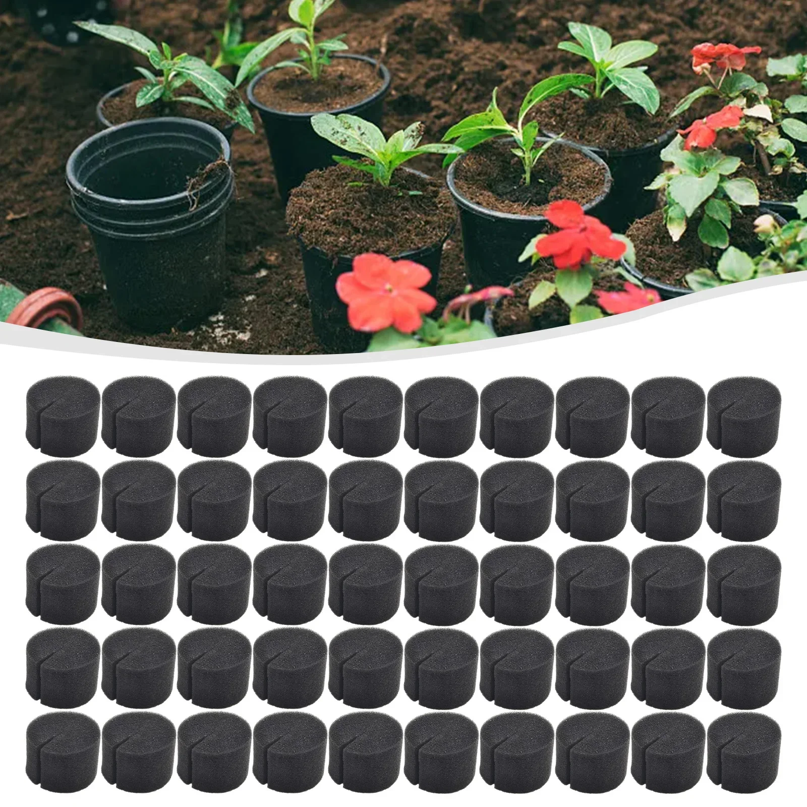 High quality Hot New Garden Clone Collars Black Random style 50pcs Cloning Foam Inserts PH neutral Premium Sterile