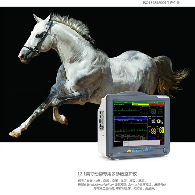 Custom Portable Human Or Animal Use Vital Signs Monitor Multiparameter ECG Monitor Hospital Bedside Monitors