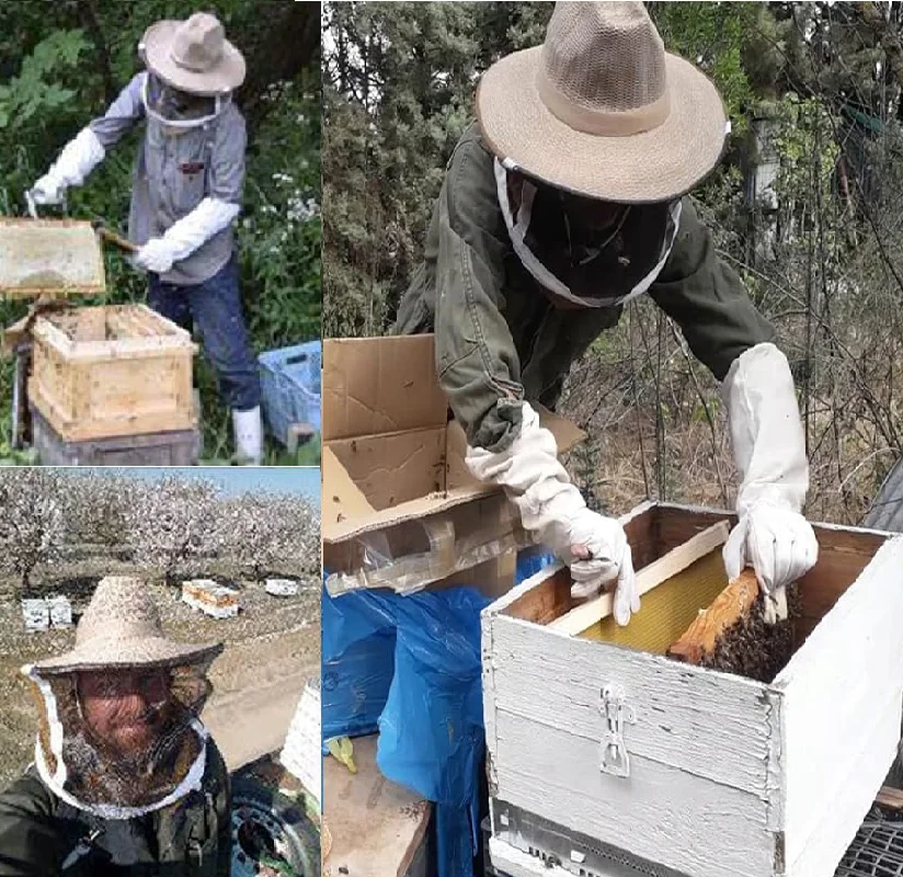 

Bee Veil Hat Beekeeping Hat with High Visibility Veil and Elastic Shoulder Strap Beekeeper Hat Face Protector Beekeeping Tools