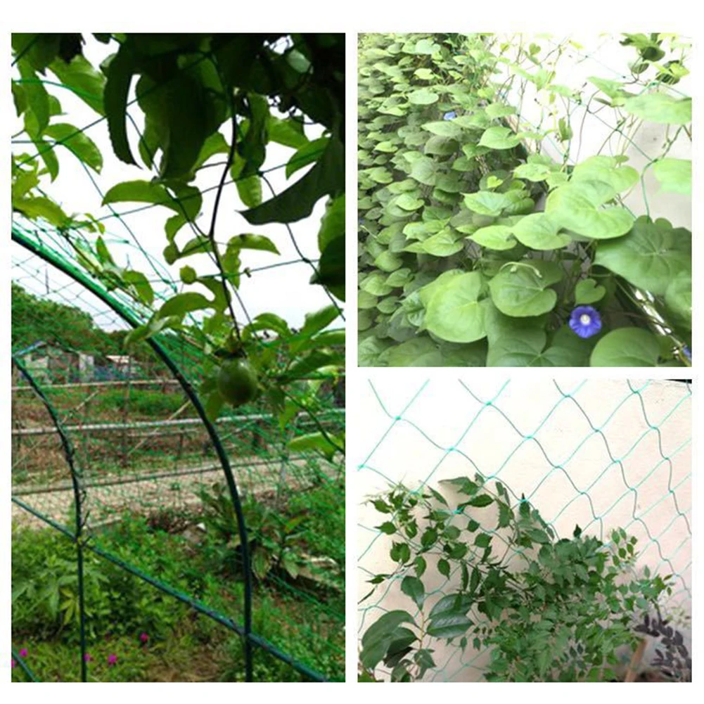 

Lattice Net Green Gardening Plant Climbing Frame Mesh Ornaments Vine Climbing Rack Net Heat-resistance for Cucumbers Watermelons