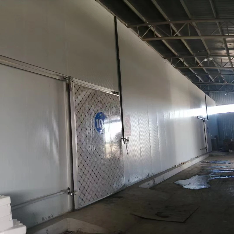 مبرد تخزين بارد تجاري مخصص للمشي في الغرفة لنظام أعمال اللحوم والخضروات والمأكولات البحرية