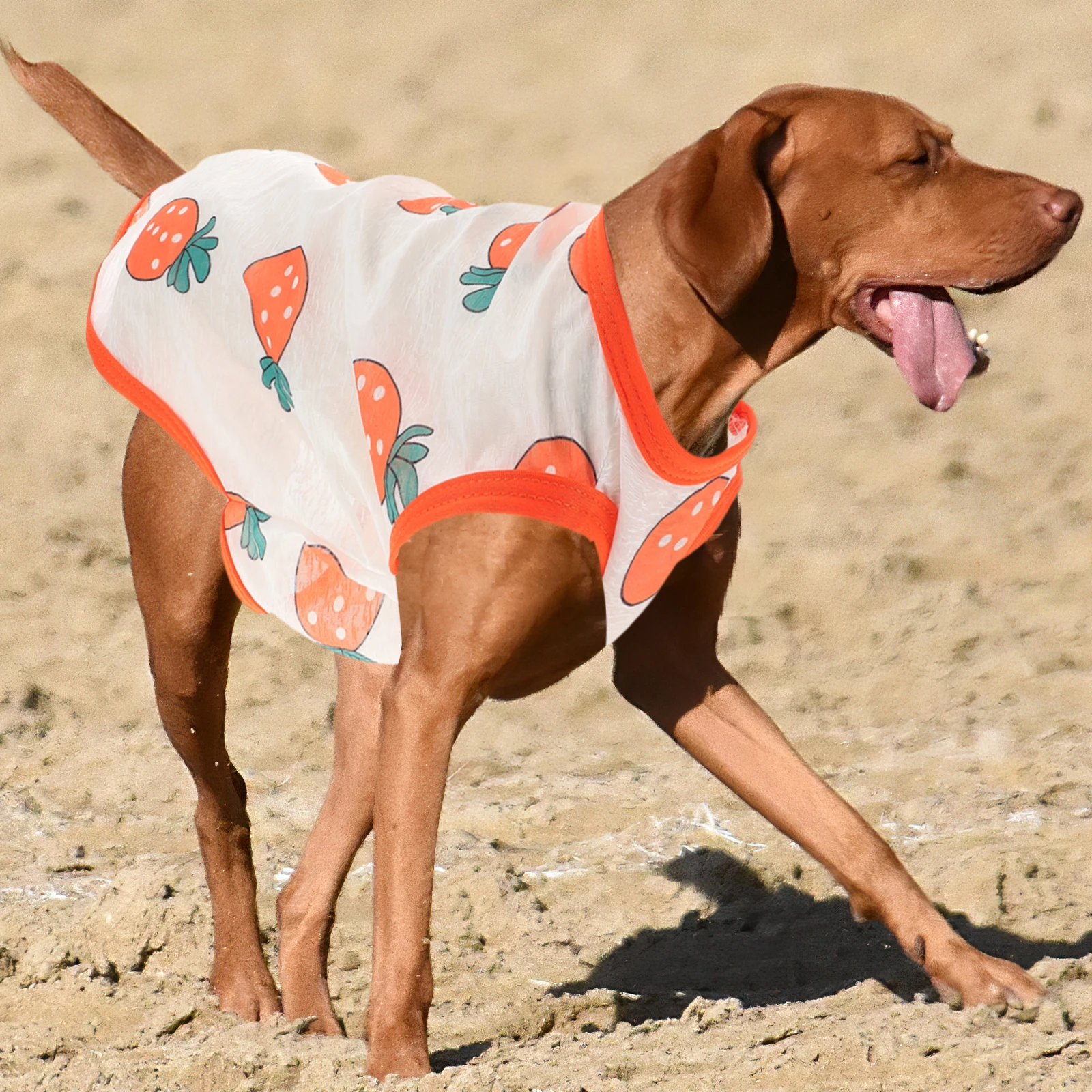 

4pcs Pet Sun Shirt for Dogs Cats Lightweight Breathable Vest Puppy Clothes Small Dog Outfit UV Resistant