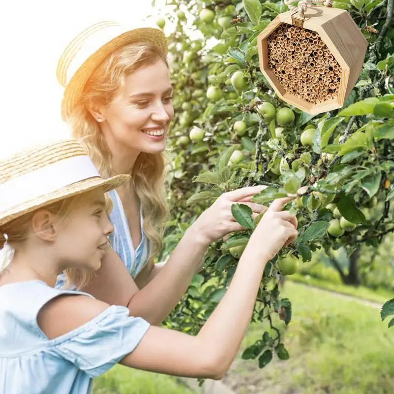 Bee Hive for Solitary Bees Garden Wooden Wax Coated Honeybee House Insect Hotel Outdoors Garden Supplies Garden Gifts