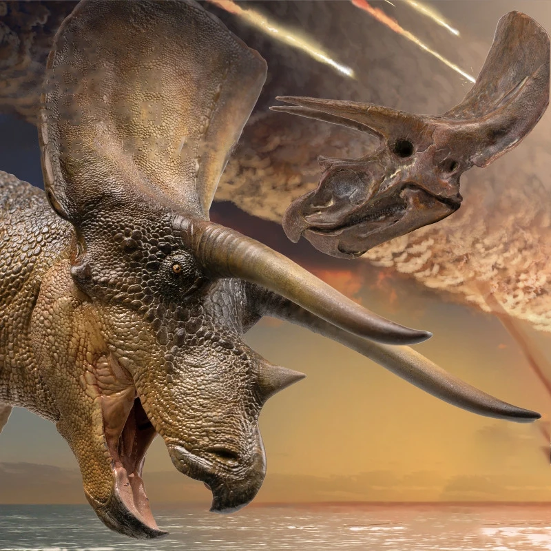 

Jurassic Triceratops Dolly New Version Dinosaur Museum 1:35 Science and Art Model with Skull Handmade Toy Desktop Ornament