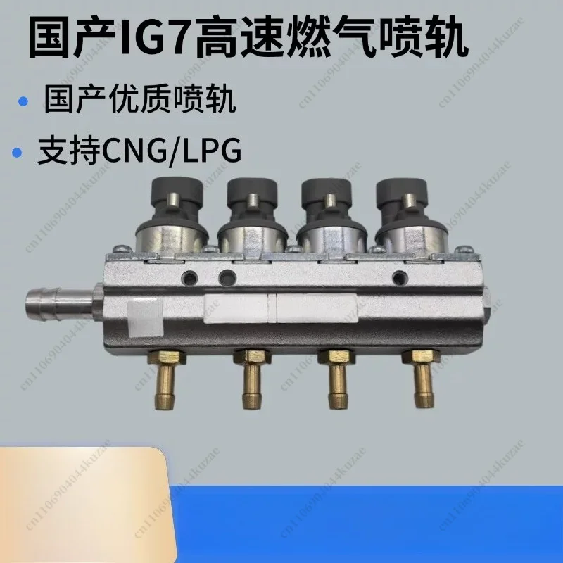 

IG7 High Speed Gas Injection Rail, LPG CNG Conversion Injection Valve Rail with Precision Spool Assembly