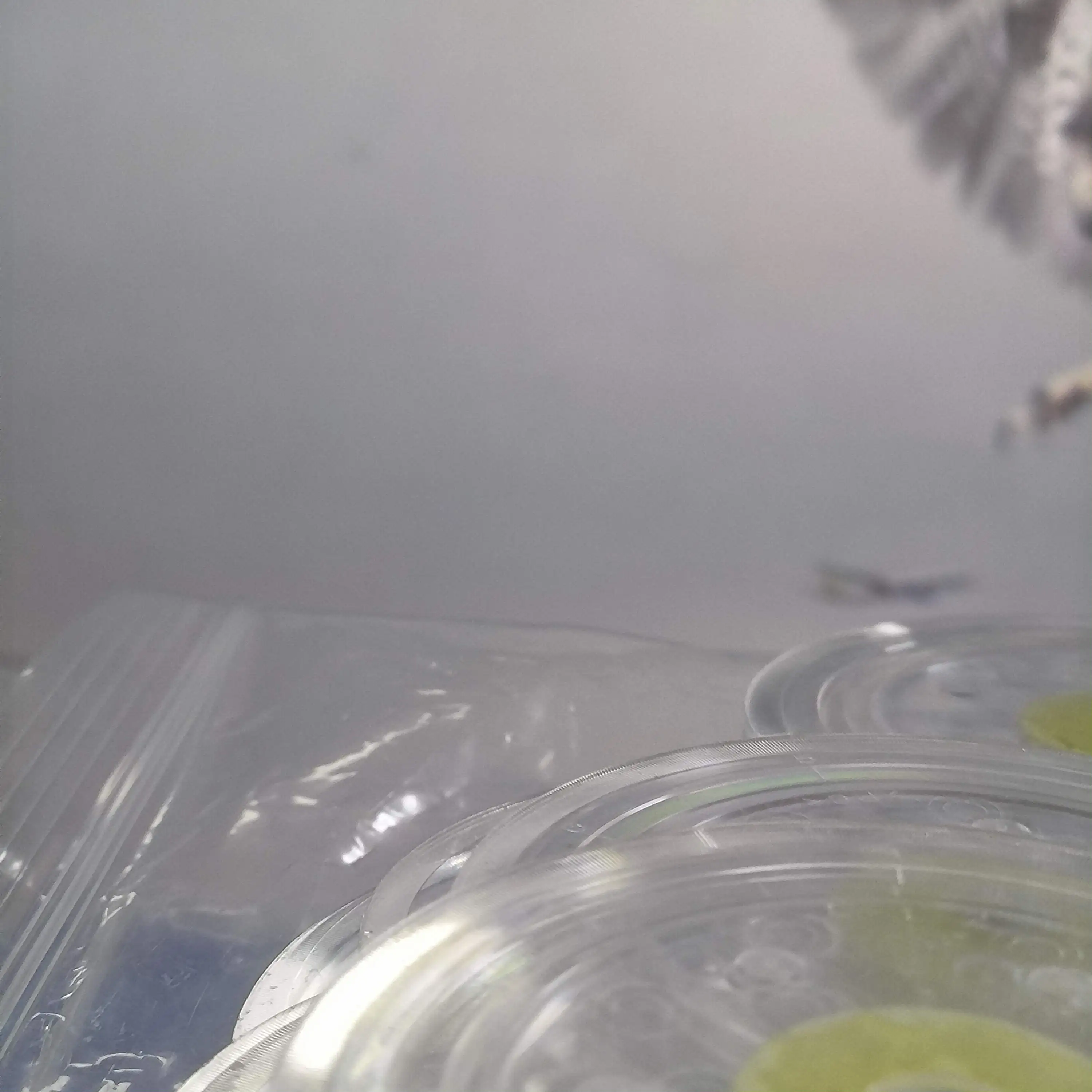 

5X 1571785 Диск ГРМ кодера для EPSON L1110 L3110 L3115 L3116 L3150 L3156 L5190 M1100 M1120