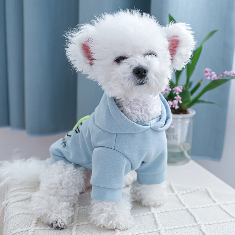 Sweat-shirt de sport pour petit chiot, pull pour chien, sweat à capuche pour animal de compagnie, bleu, pas cher, printemps, été, chat, boutique, chihuahua, jouet Terrier, fournitures