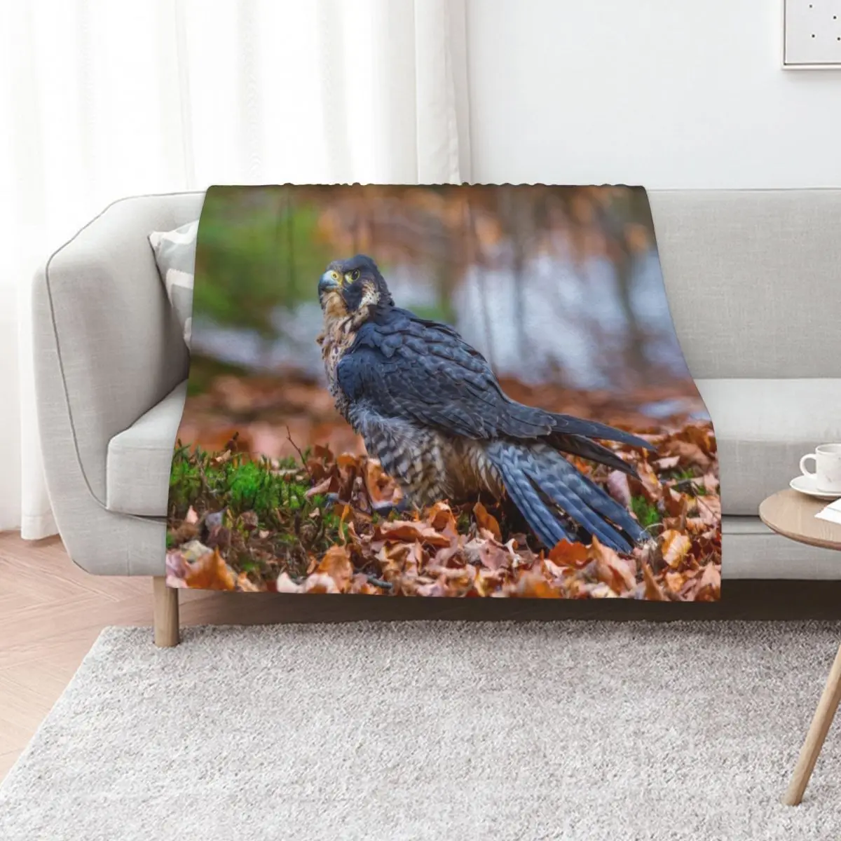 

Peregrine Falcon Throw Blanket No Pilling Soft Warm Blanket for Bed