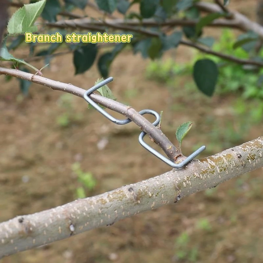 

[50 М-образный выпрямитель для ветвей 10 см] Съемник для ветвей фруктовых деревьев, инструмент для выпрямления садовых ветвей - многоразовый гибочный станок для ветвей деревьев