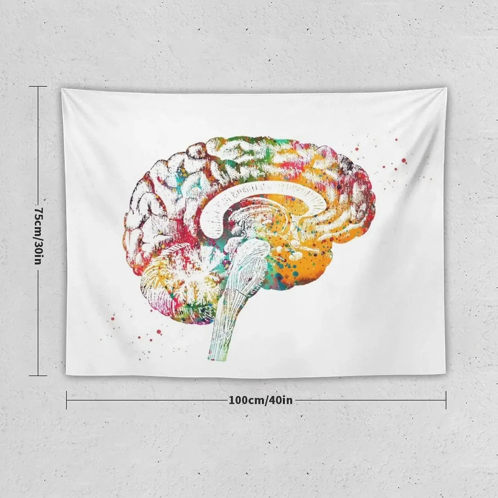 Brain anatomy cross section Tapestry Room Decoration Accessories Decor For Bedroom Home Decorators Decoration Bedroom Tapestry