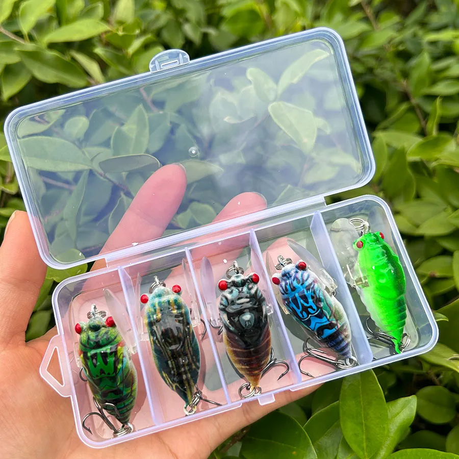 5PCS Cicada Crankbait Fishing Lures 3D Eyes Hard Plastic Bait Biomimetic Shape Hard Bait Insect Fishing Tackle Artificial Baits