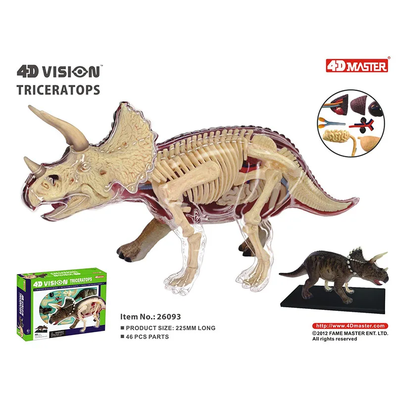 Tiranosaurio Triceratops Brachiosaurus Stegosaurus 4d Master Puzzle Assembling Animal Biology Dinosaur Organ Model