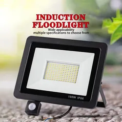 Outdoor Spotlight LED Floodlight Motion Detector 220V 100W 50W 30W 20W IP66 Underground Light Warehouse Garden Decorative Lamp