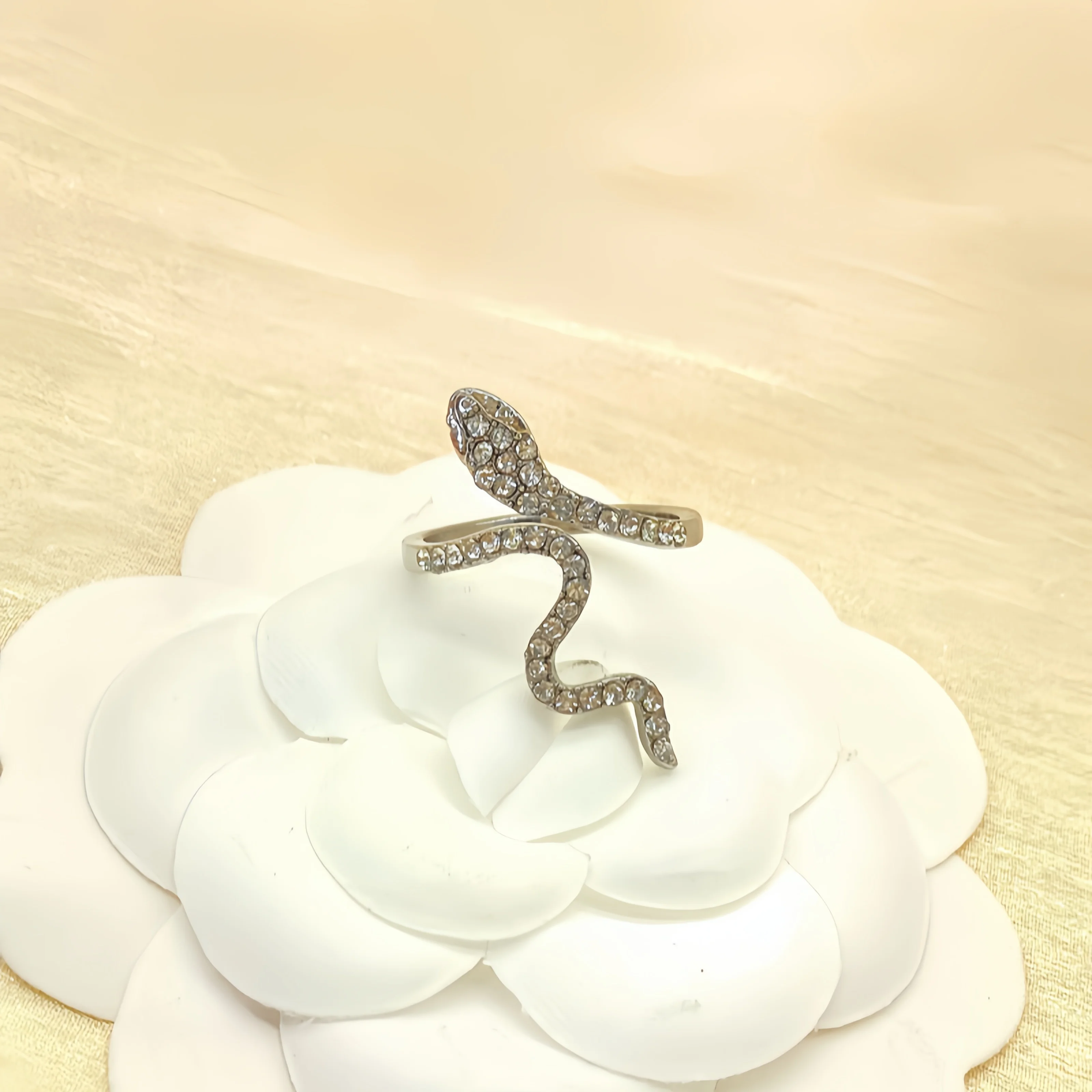 1 Piece Of Fashionable Classic Micro-Set Zircon Snake-Shaped Wrapped Women's simple Minority Designer Fashionable Index Finger R image 5