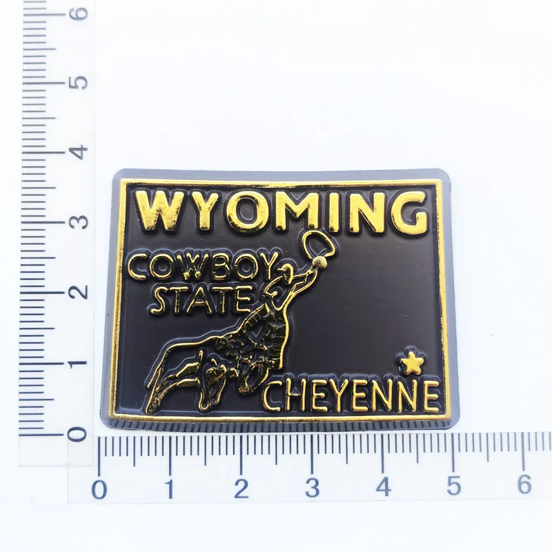 Wyoming  Fridge Magnets Travel 3D Memorial Magnetic Refrigerator