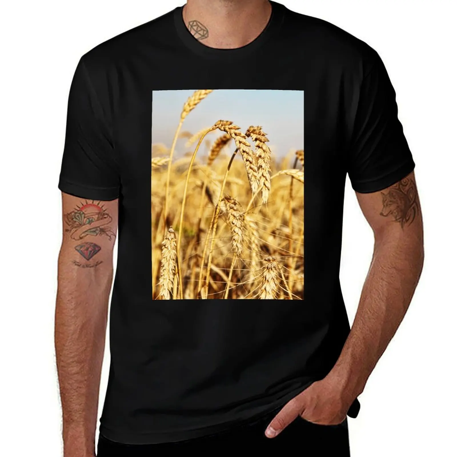 Ripe wheat ears on field. T-Shirt Basic Tee Shirt for Everyday Outfit