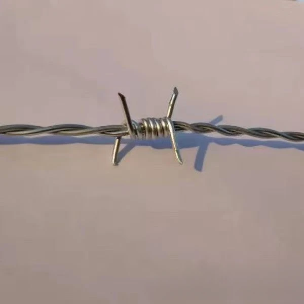 سياج سلك شائك من الفولاذ الكربوني المنخفض، حاجز أمان لشفرات الحلاقة، مسامير حماية جدارية مضادة للتسلق