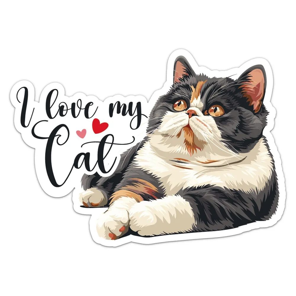 I Love My Exotic Shorthair Cat Vinyl Car Sticker Self Adhesive Decal for Car Bumper and Toolbox Creative Car Decor
